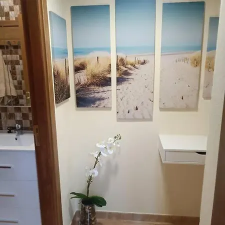 Apartment Estudio Muy Acogedor